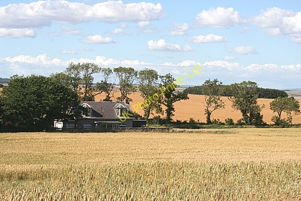 Photo 6"x4" Lady Mary Ann's Butts Auchmithie c2006