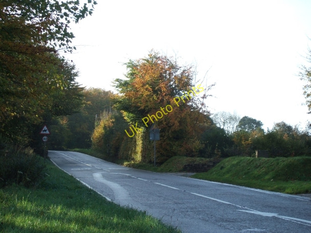 Photo 6"x4" Looking south from Lake along the A386 Lake\/SX5288 c2010