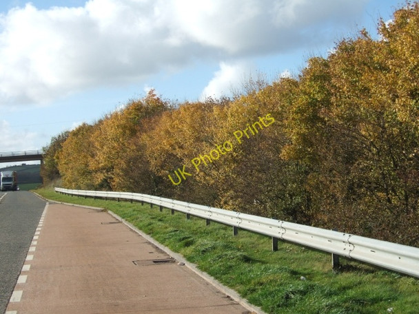Photo 6"x4" Lay-by with autumn colour by A30 South Tawton c2010