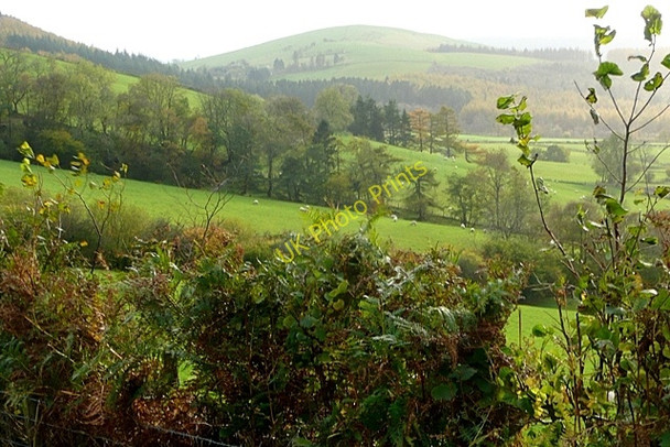 Photo 6"x4" Pastures at Trinnant Domen-ddu c2009