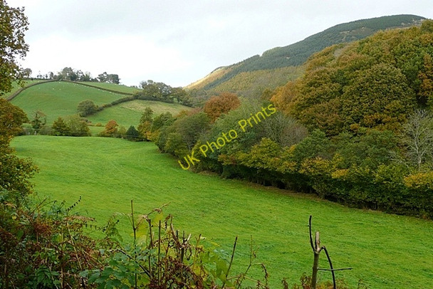 Photo 6"x4" Pasture in Nant Feinion Newchapel\/SN9883 c2009