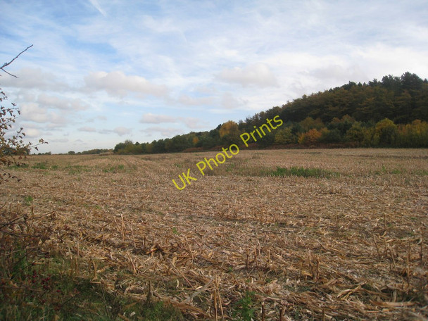 Photo 6"x4" Harvested maize field below Barrow Hills Harwell\/SK6891 c2010