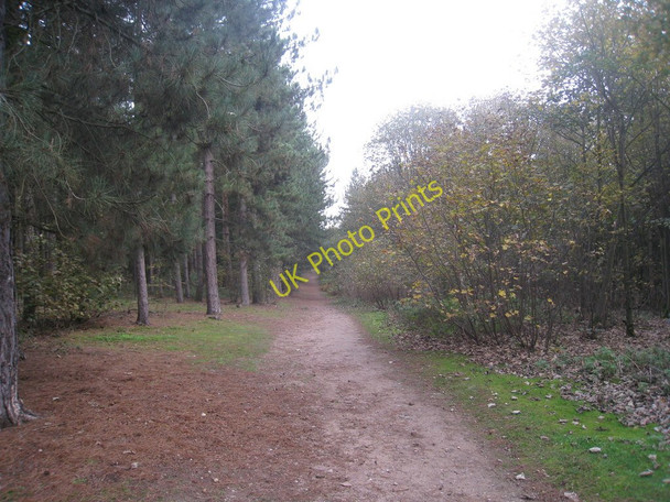 Photo 6"x4" Track across Barrow Hills Harwell\/SK6891 c2010
