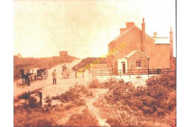 Photo 6"x4" Pevensey Bay Road, Eastbourne Langney c1900
