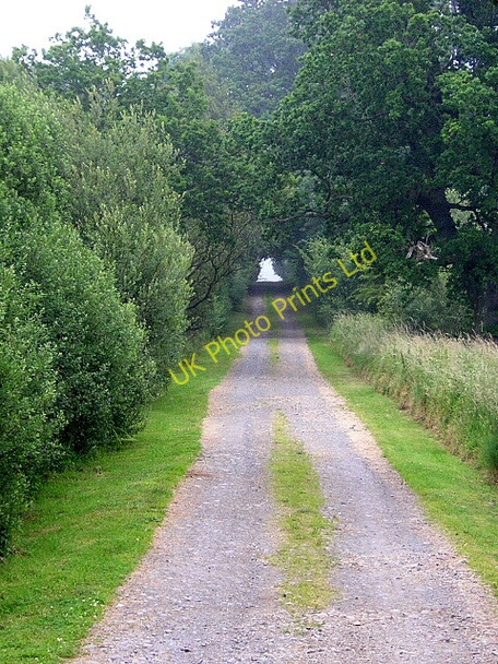 Photo 6"x4" Minor Road Near Challoch Newton Stewart c2006