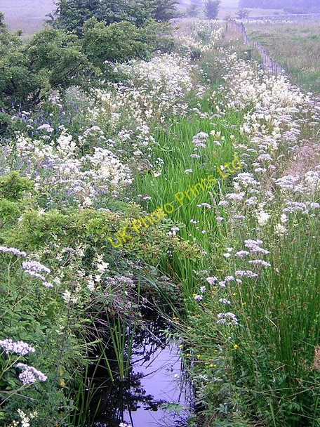 Photo 6"x4" Challoch Burn Newton Stewart c2006