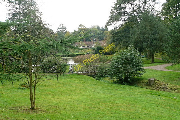 Photo 6"x4" Ightham Mote, north gardens Ivy Hatch c2010