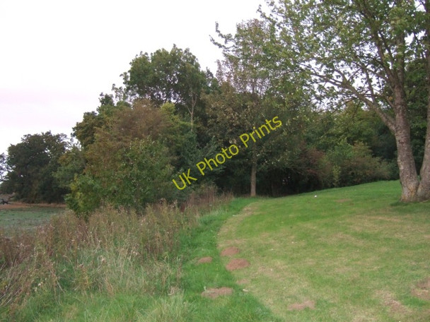 Photo 6"x4" The bank of the Medina Newport\/SZ4988 c2010