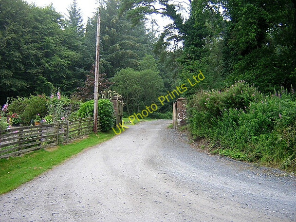Photo 6"x4" Access to Knockman Wood Newton Stewart c2006