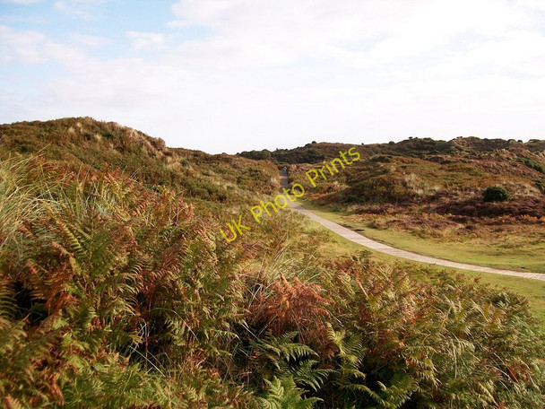 Photo 6"x4" Wooden walkway to Slidderyford Bridge Newcastle\/J3732 c2010
