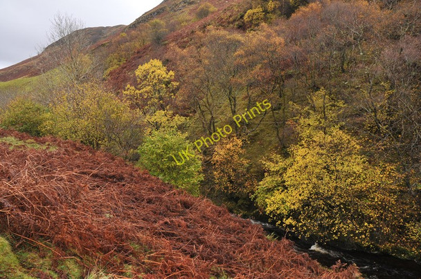 Photo 6"x4" Feochan Bheag flowing into Glen Feochan Barran\/NM8825 c2010