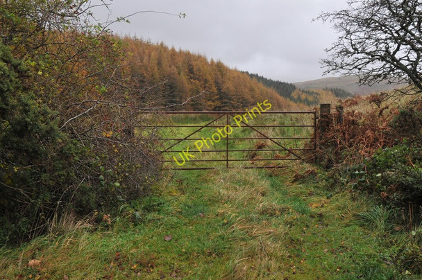 Photo 6"x4" Gate to fields near Kilmelford Kilmelford c2010
