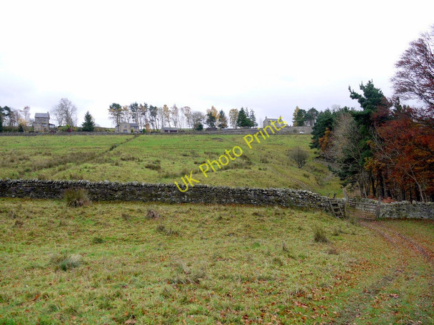 Photo 6"x4" Rough pastures north of Staward Bearsbridge c2010
