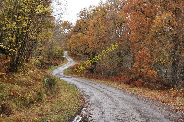 Photo 6"x4" Minor road from Corriechoille to Spean Bridge Inverroy c2010