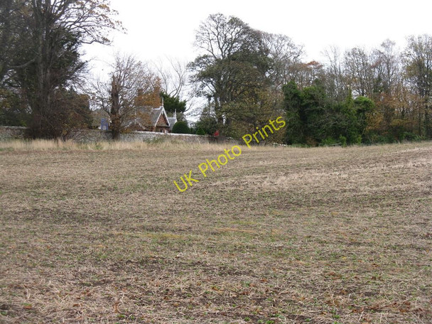 Photo 6"x4" Cottage in the woods Luggate Burn c2010