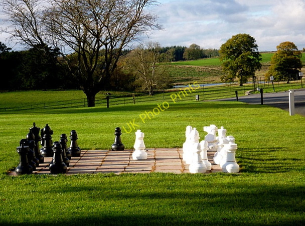 Photo 6"x4" Outdoor chess anyone? Cavan c2010