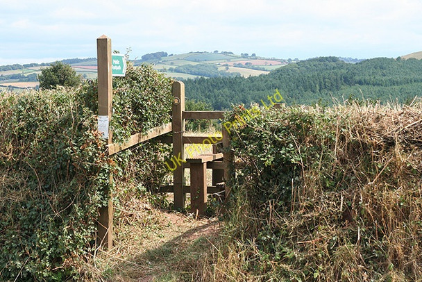 Photo 6"x4" Shobrooke: footpath to Great Gutton Crediton c2006