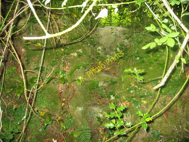 Photo 6"x4" Sticil Hynafol Panthowell Ancient Stile Llanwinio c2006