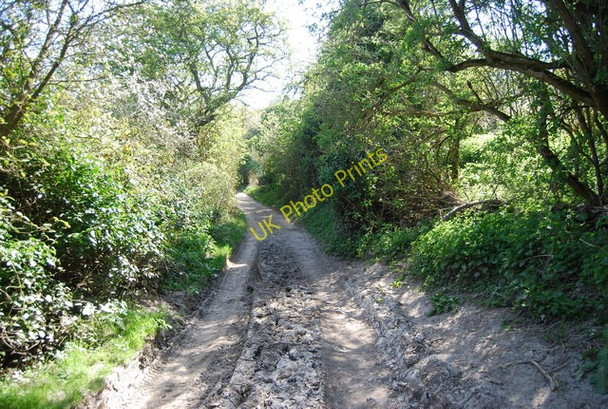 Photo 6"x4" The Wealdway to Jevington Folkington c2010