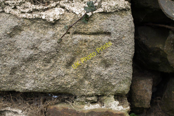 Photo 6"x4" Cut Bench Mark (close-up) Stainburn\/SE2448 c2010