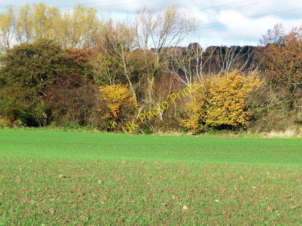 Photo 6"x4" A splash of yellow by Hey Beck Haigh Moor c2010