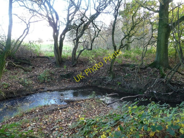 Photo 6"x4" Hey Beck Haigh Moor c2010