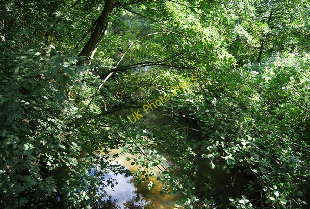 Photo 6"x4" The Straight Mile, Haysden Country Park Lower Haysden c2010