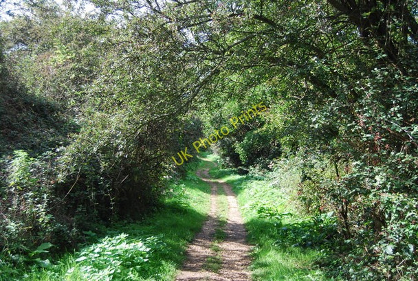 Photo 6"x4" The Eden Valley Walk Lower Haysden c2010
