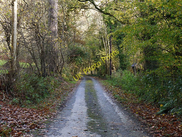 Photo 6"x4" Minor road heading for Nanteos Moriah c2010