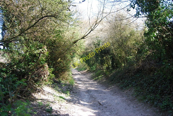 Photo 6"x4" Wealdway to Jevington Jevington c2010