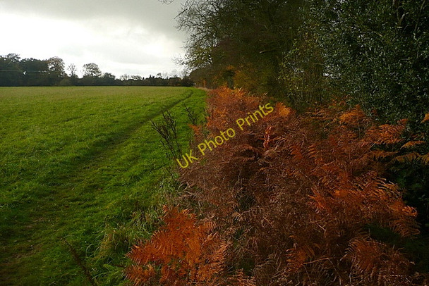 Photo 6"x4" Footpath towards Stokenchurch Bennett End c2010