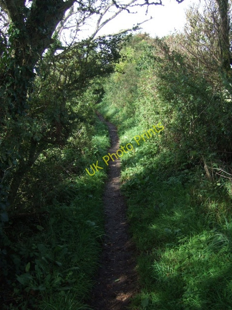 Photo 6"x4" Coastal footpath near Niton Kingates c2010