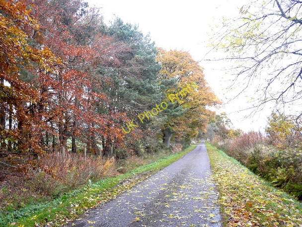 Photo 6"x4" Driveway to Allan House Loandhu c2010