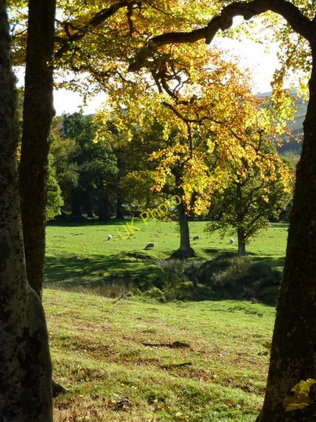Photo 6"x4" Autumn scene near Gruinards Wester Gruinards c2010