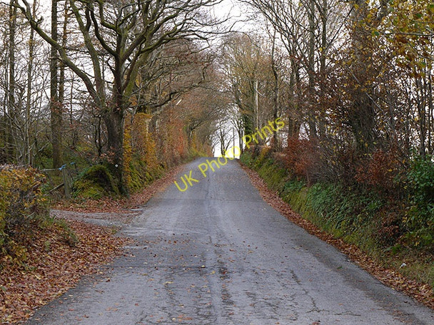 Photo 6"x4" Eastern exit from Blaenpennal Blaenpennal c2010