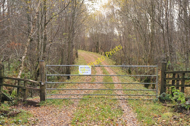 Photo 6"x4" Track to Bannachra Woods Craigendoran c2010