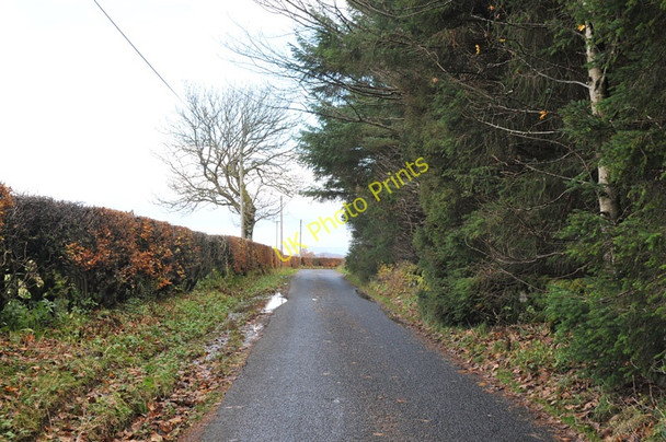 Photo 6"x4" Minor road near Highfields Arden\/NS3684 c2010