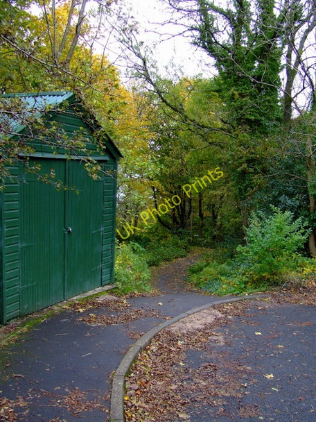 Photo 6"x4" Footpath at Glen Avenue Gourock c2010