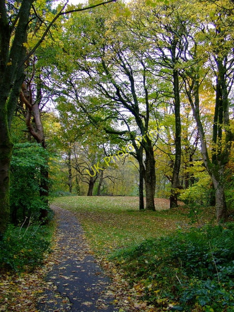 Photo 6"x4" Footpath at Glen Avenue Gourock c2010 P1