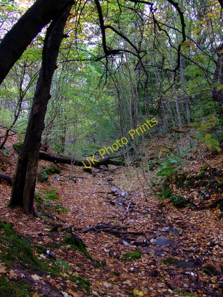 Photo 6"x4" The Glen at Glen Avenue Gourock c2010
