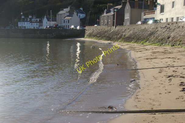 Photo 6"x4" Stonehaven Harbour Stonehaven c2010