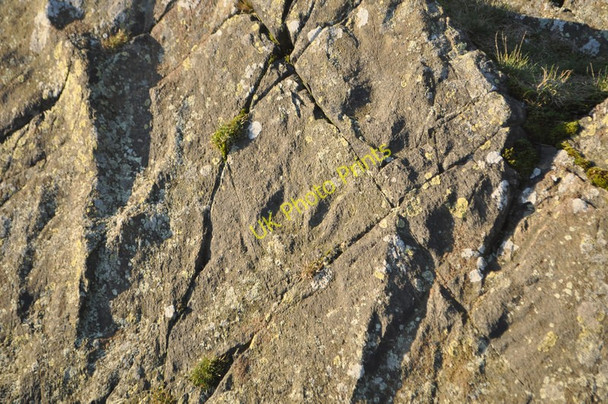 Photo 6"x4" Bradgate Park Newtown Linford\/SK5110 c2010