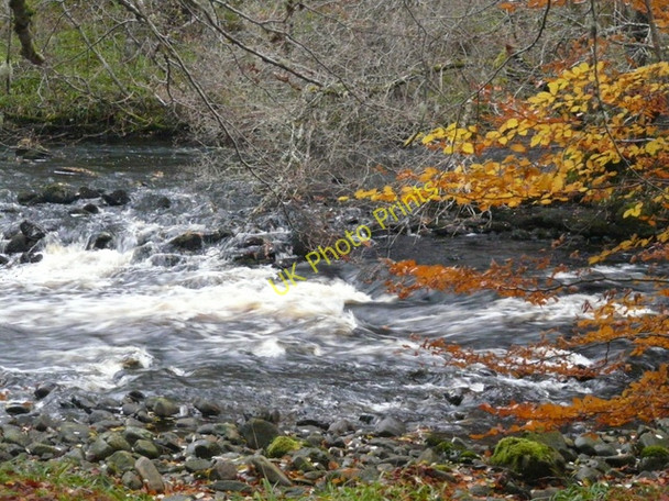 Photo 6"x4" Last bit of colour by the Alness River Cnoc Ruadh c2010