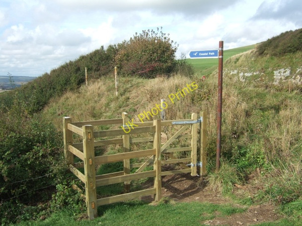 Photo 6"x4" Coastal footpath leading to Blackgang Blackgang c2010