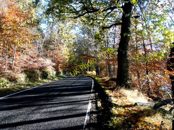 Photo 6"x4" Autumn colour in Strathglass Erchless Castle c2010