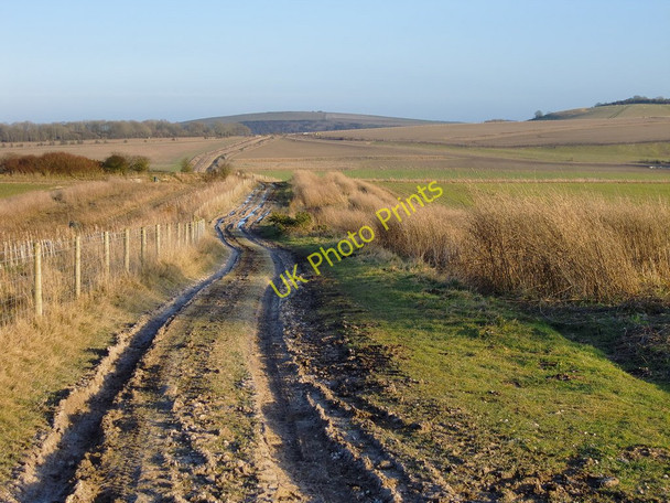 Photo 6"x4" Track from the Burgh to Wepham Down (1) Cross Gate\/TQ0413 c2010