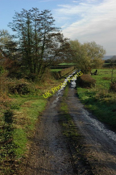 Photo 6"x4" Track to meadowland Awre c2010