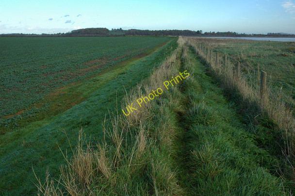 Photo 6"x4" Flood bank near Awre Awre c2010