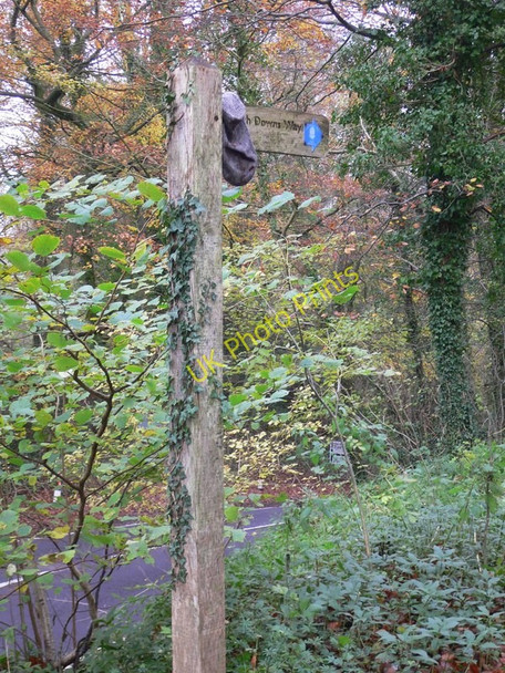 Photo 6"x4" Sock Downs Way at the B2146 South Harting c2010