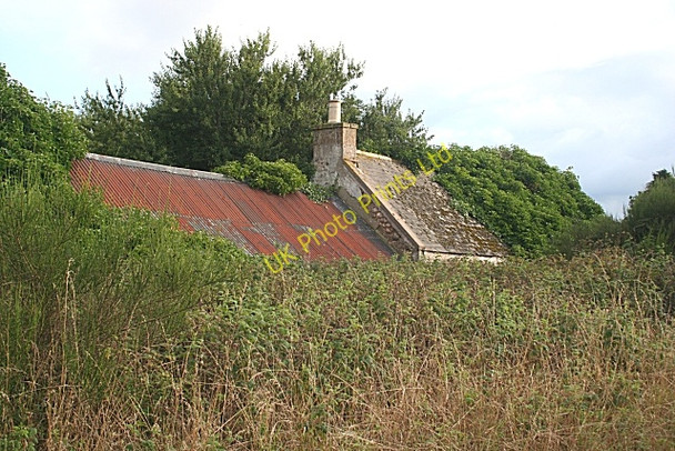 Photo 6"x4" Overgrown Cottage Greens of Coxton c2006